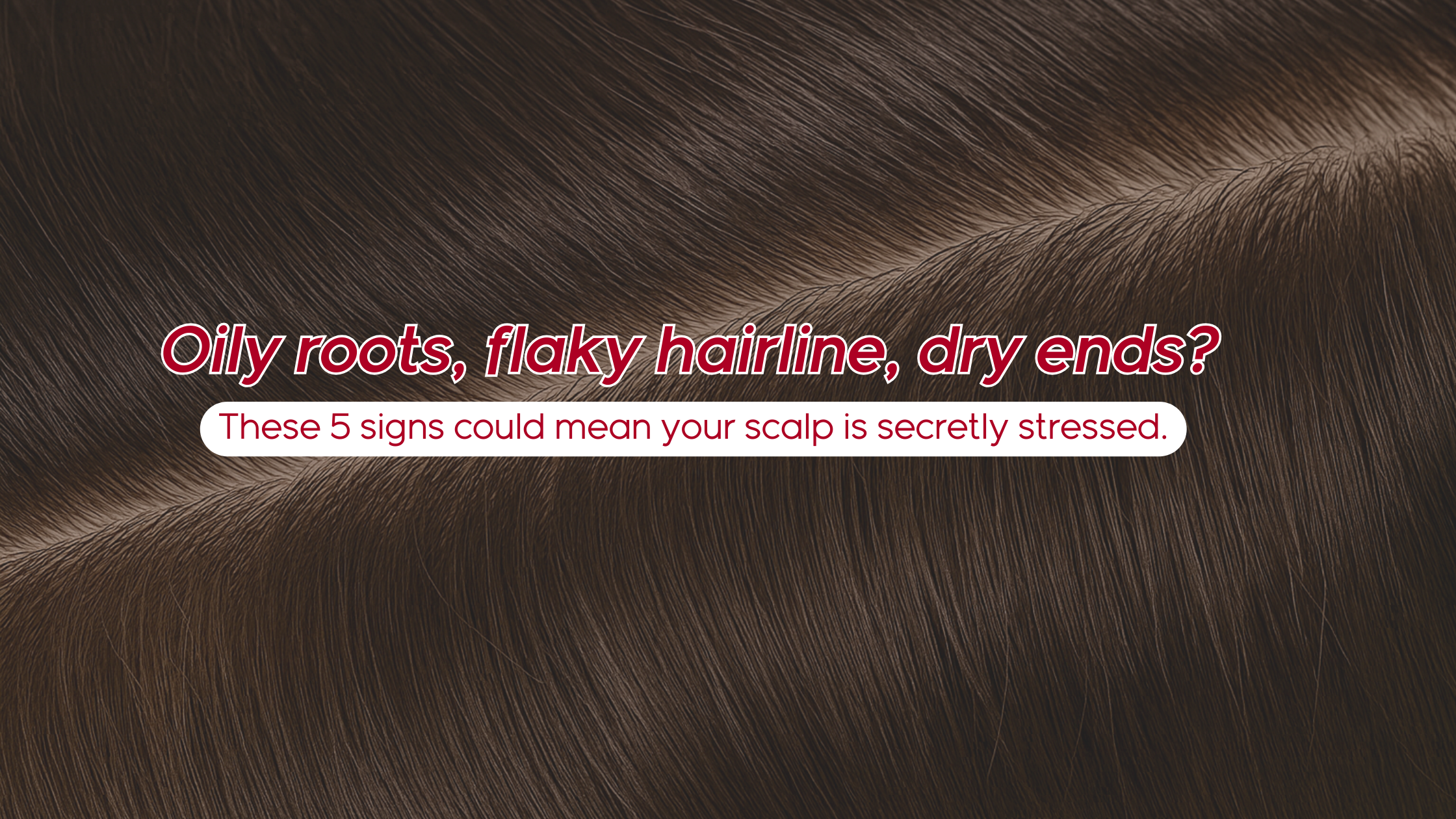 How to Tell If Your Scalp Is Under Stress