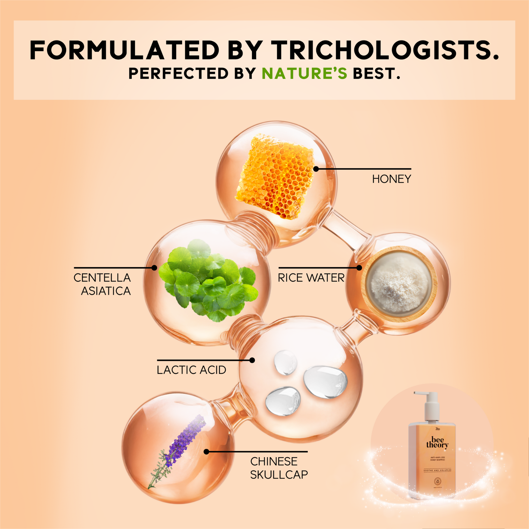 Bee Theory Anti-Hair Loss Honey Shampoo